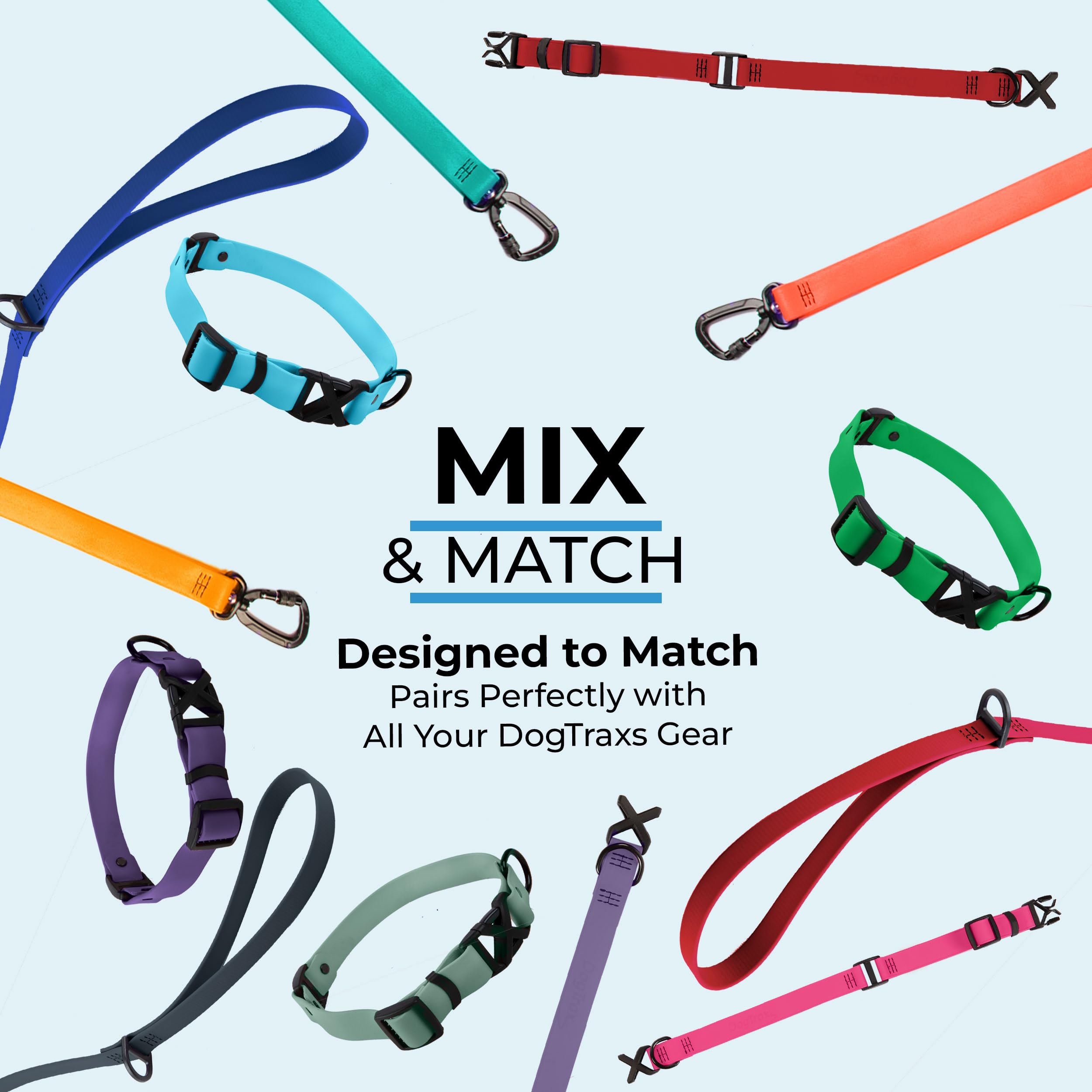 DogTraxs leash in urban park setting for everyday dog walks
