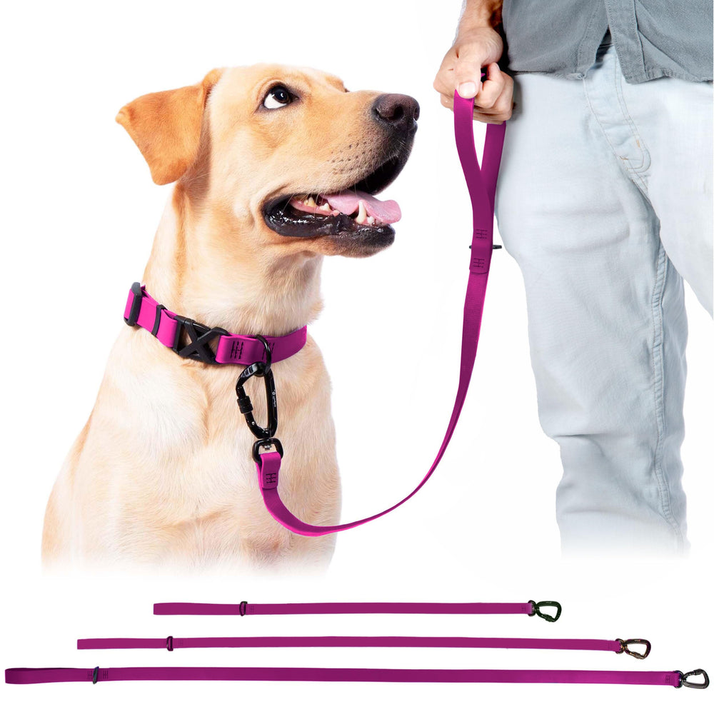 DogTraxs essential Biothane Leash 3 ft training lead enables close control during sessions.