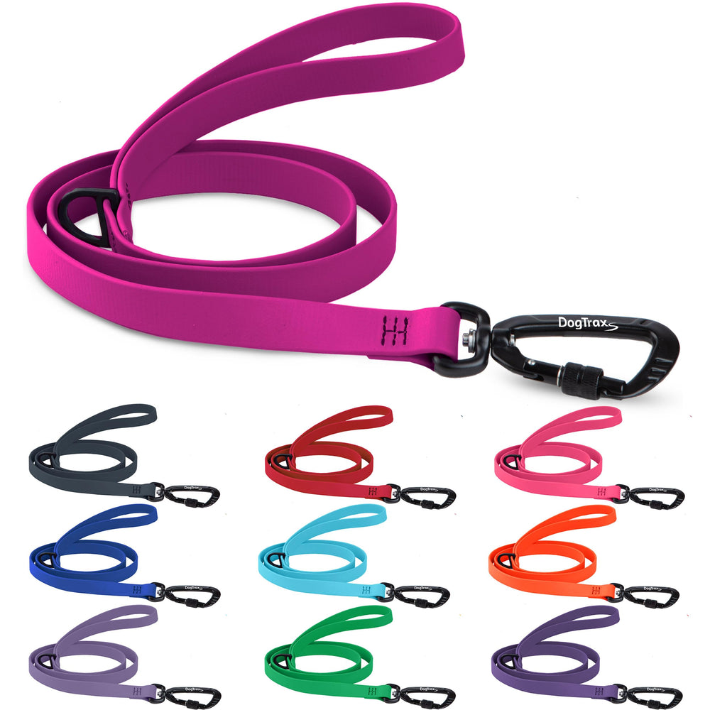 DogTraxs essential Biothane Leash clip demonstrates secure self-locking carabiner for worry-free walks.