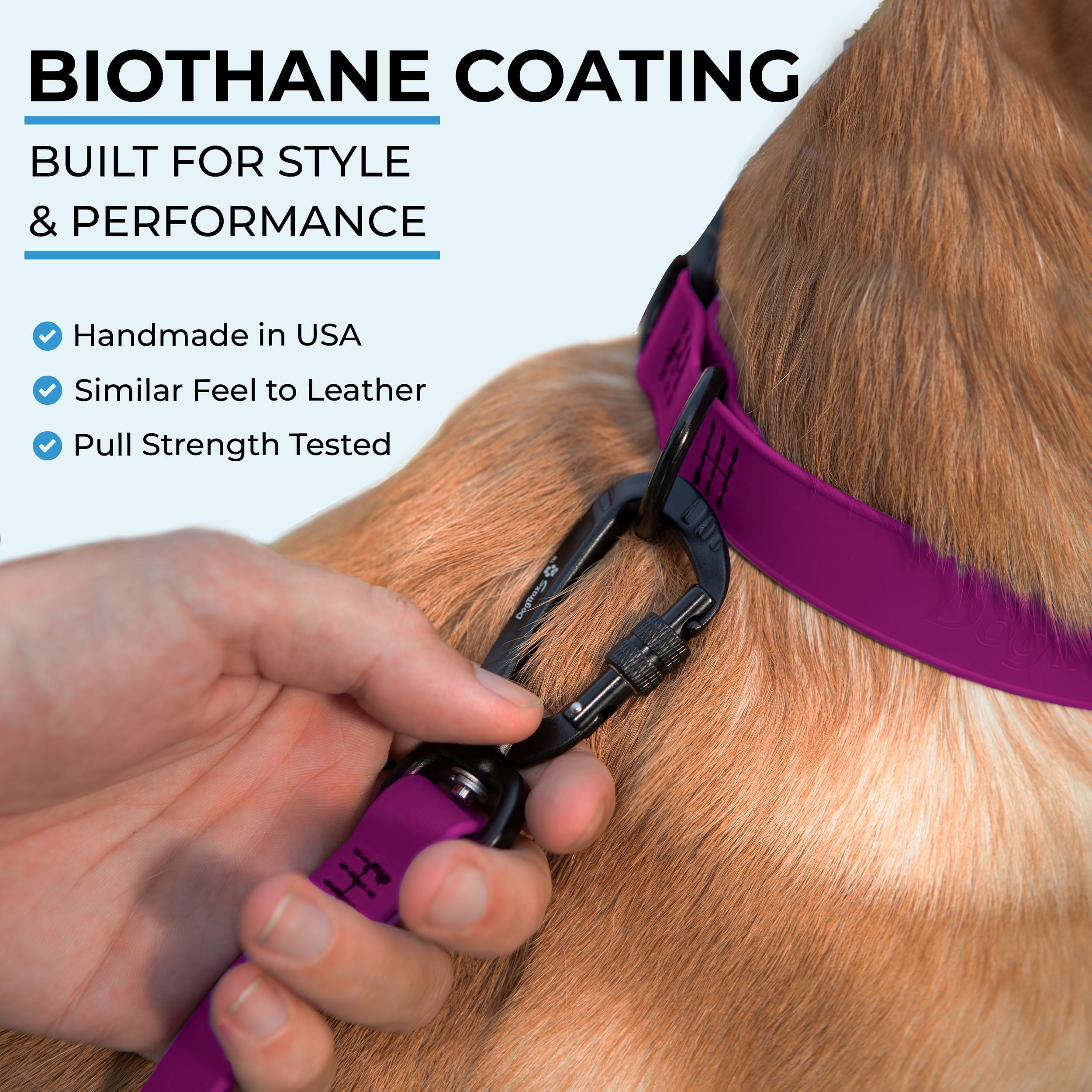 DogTraxs essential Biothane Leash magenta color offers high visibility and style outdoors.