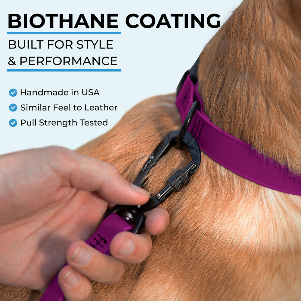 DogTraxs essential Biothane Leash magenta color offers high visibility and style outdoors.