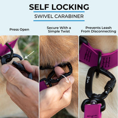 DogTraxs essential Biothane Leash waterproof and odor-resistant for wet-weather use.
