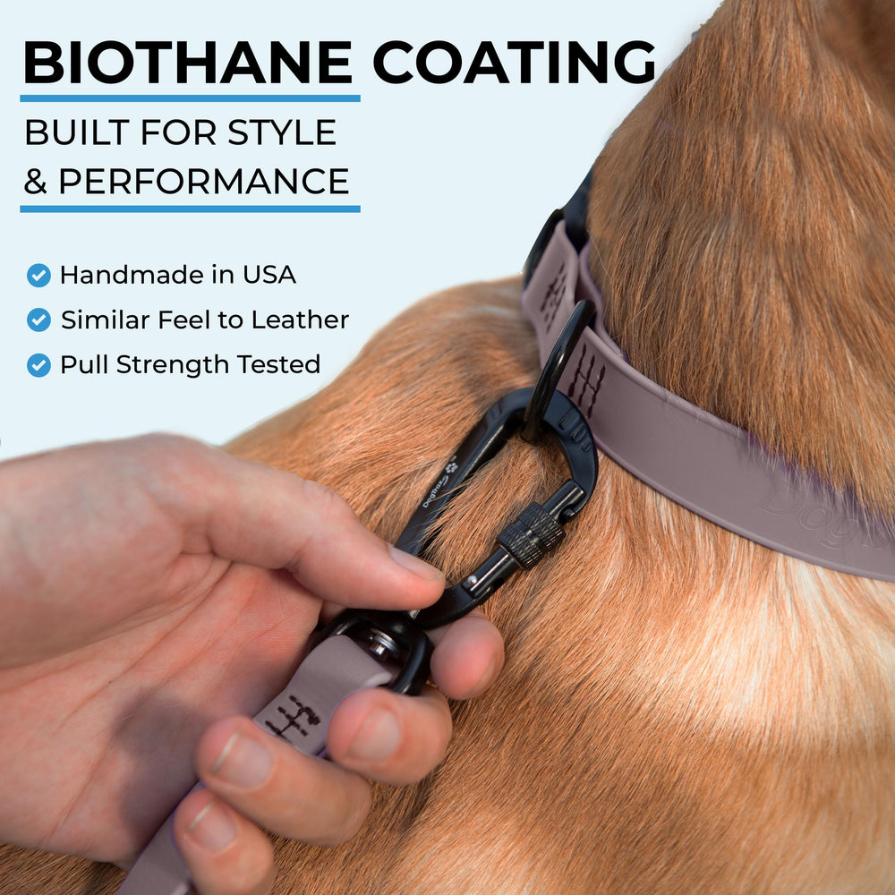 DogTraxs leash lavender purple colorway adds visibility and style on daily walks.