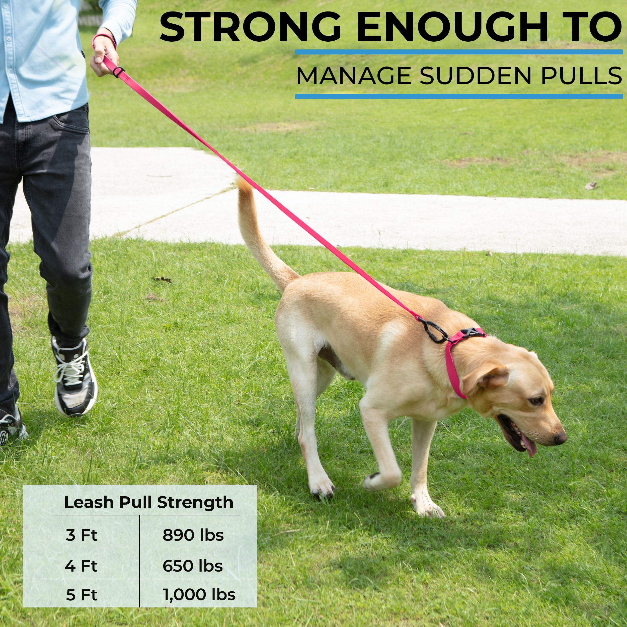 DogTraxs Leash pink color options for stylish, practical outdoor walks