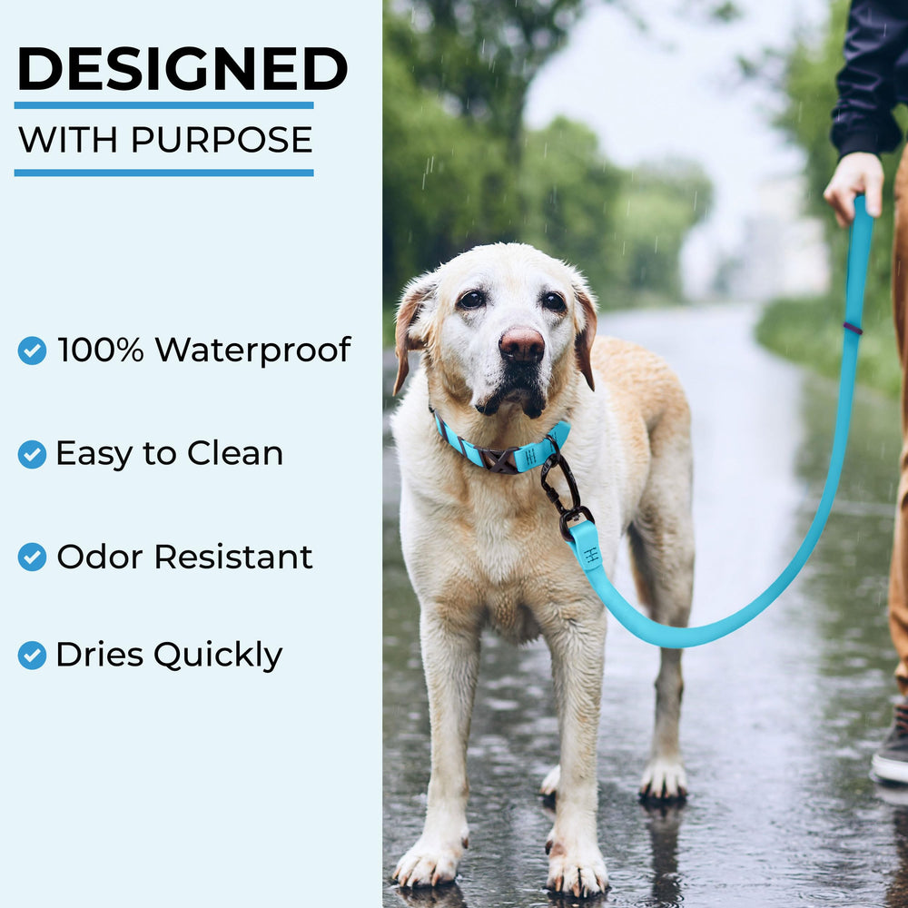 DogTraxs made-in-USA craftsmanship supports high-quality leash.