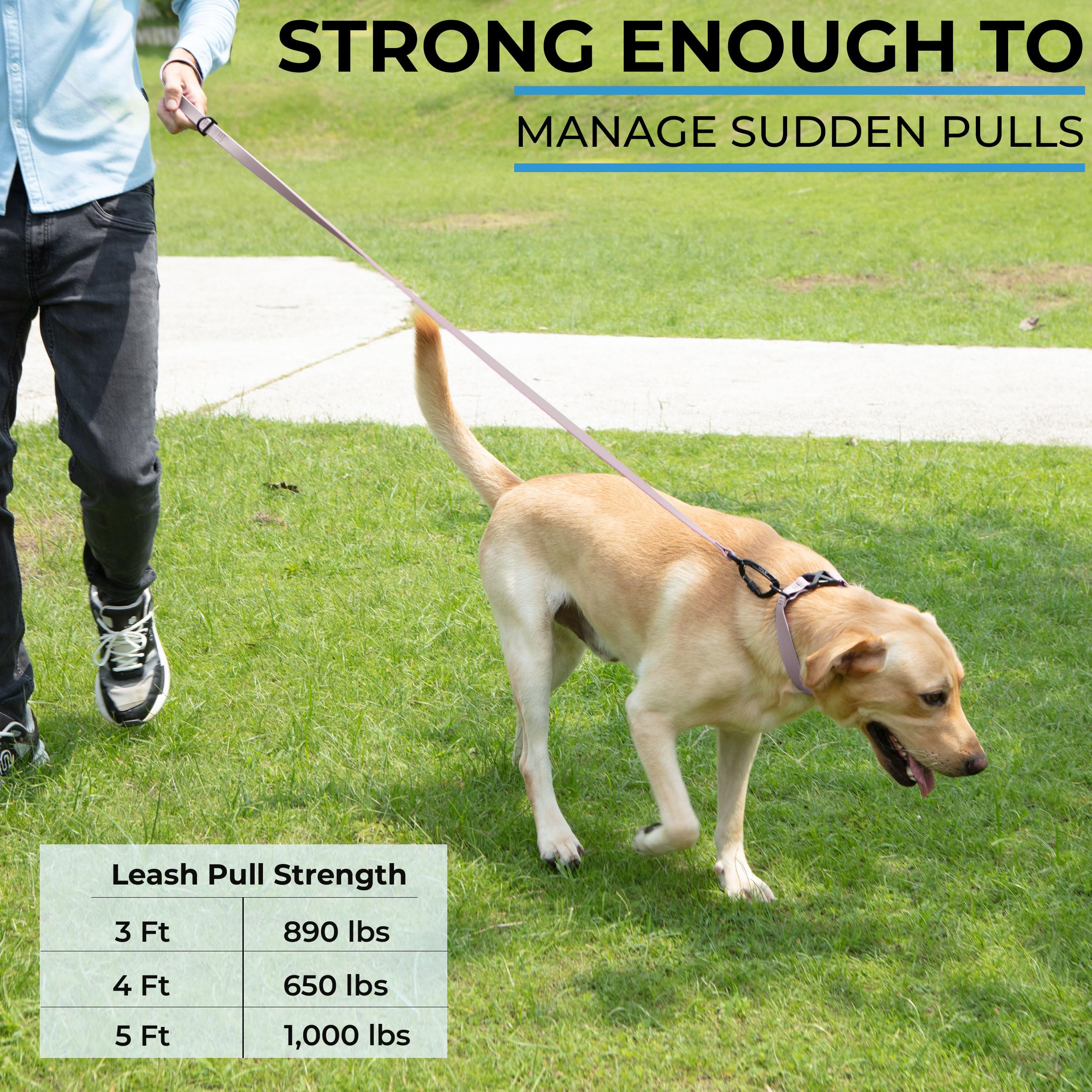 DogTraxs self-locking swivel carabiner enables quick, secure attachment.
