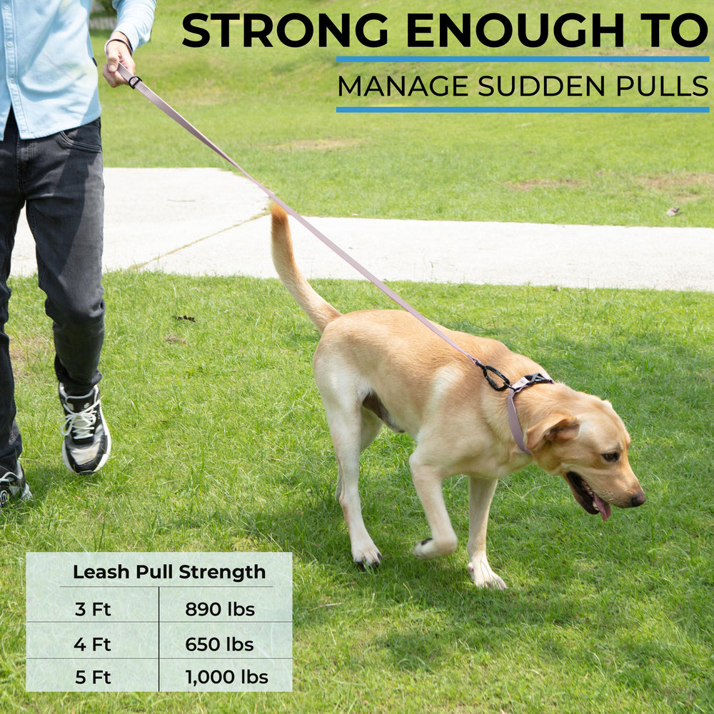 DogTraxs self-locking swivel carabiner enables quick, secure attachment.