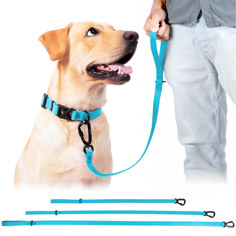 DogTraxs sky-blue biothane-leash highlights weather-ready color and easy-clean shine.