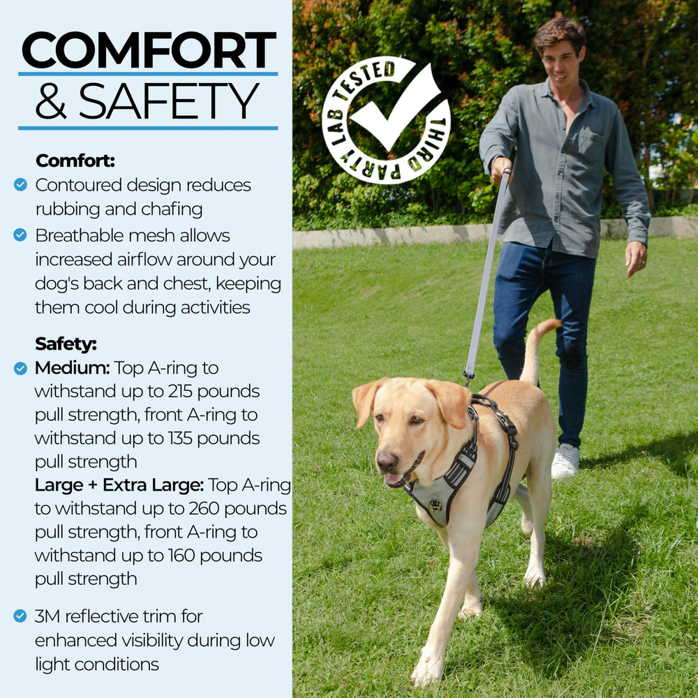 DogTraxs Step in Harness 3M reflective trim boosts visibility for dawn or dusk walks.