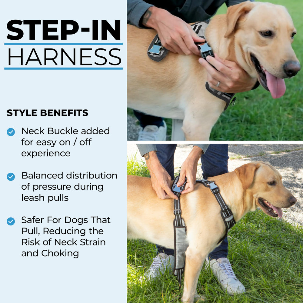 DogTraxs Step in Harness adjustable straps provide a snug, customizable fit for active dogs.