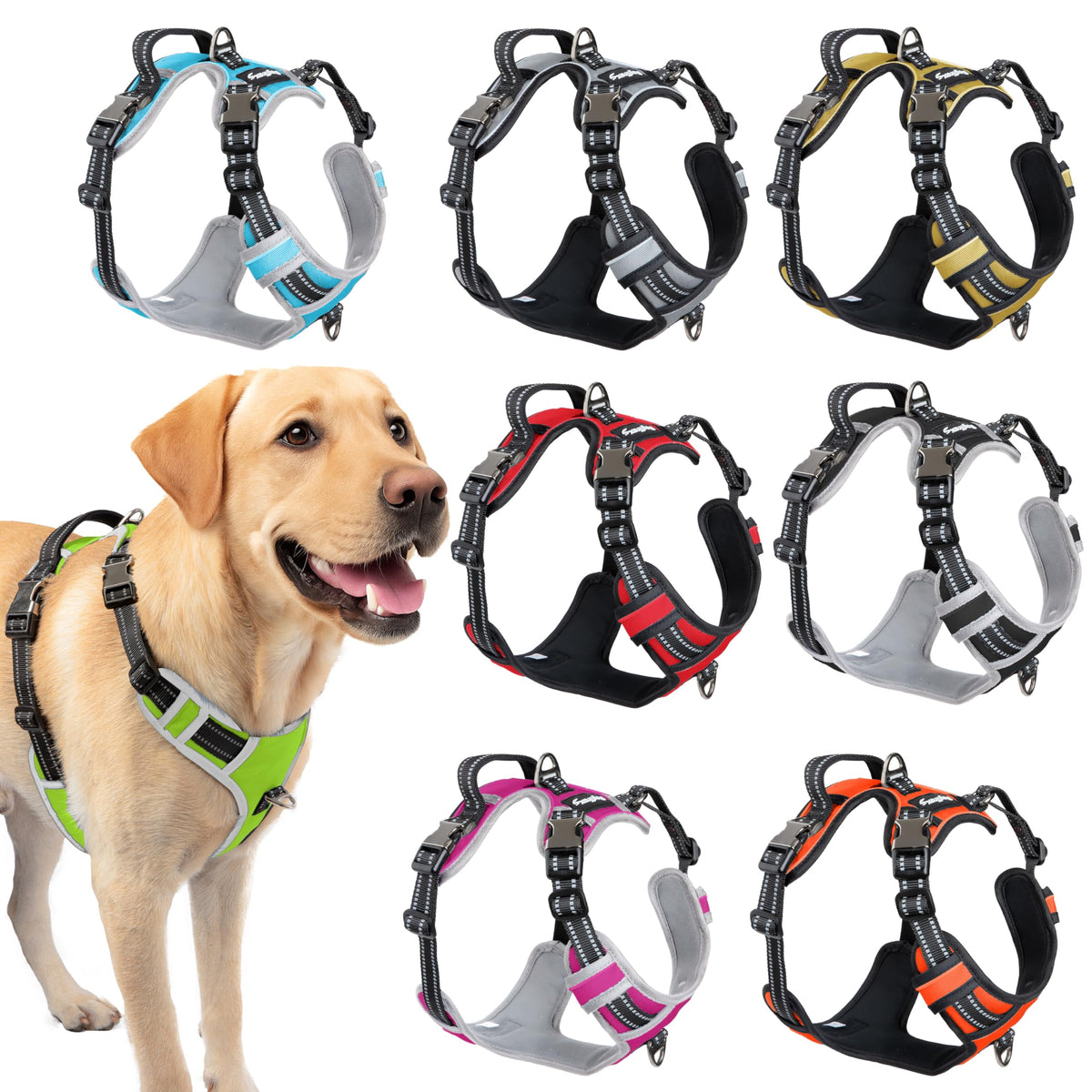 DogTraxs step-in harness chartreuse green on dog shows comfortable fit
