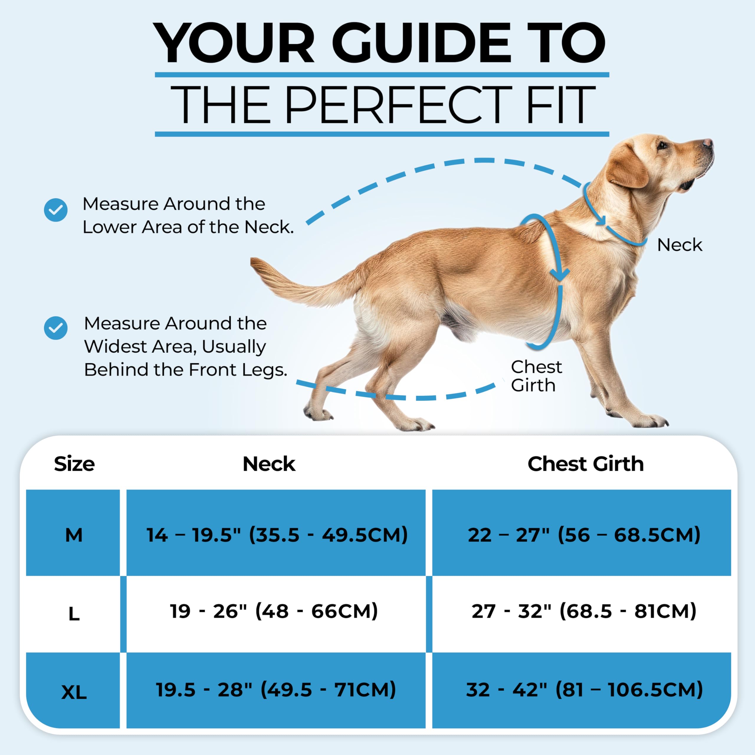 DogTraxs Step in Harness two leash points enable versatile leashing options.