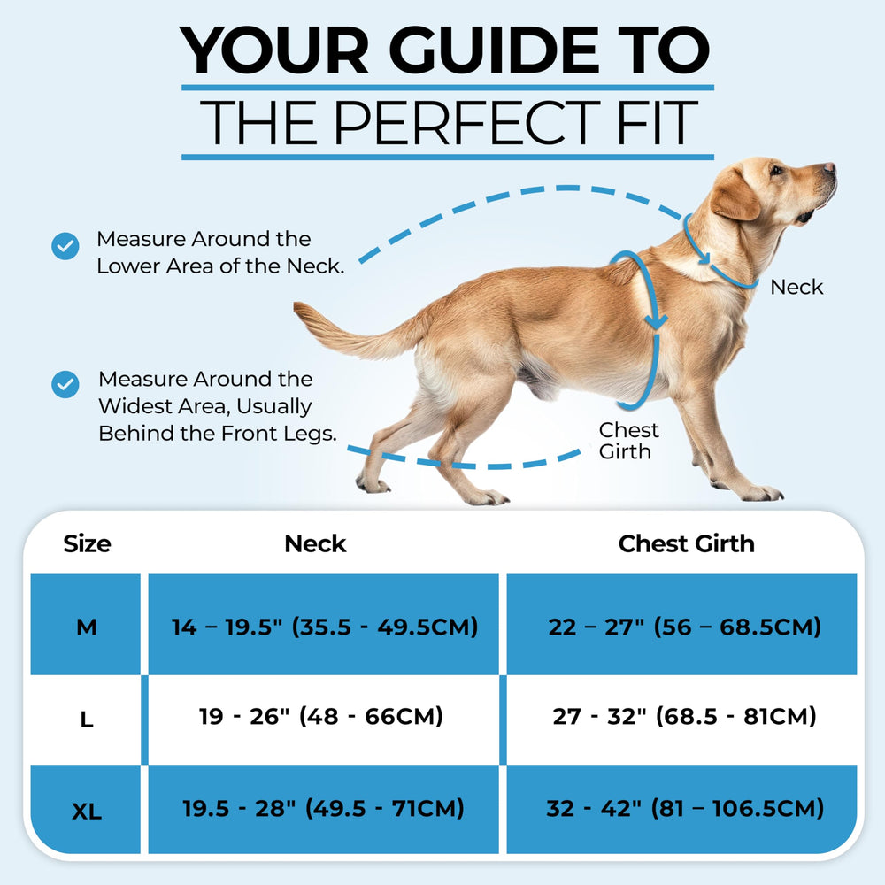 DogTraxs Step in Harness two leash points enable versatile leashing options.