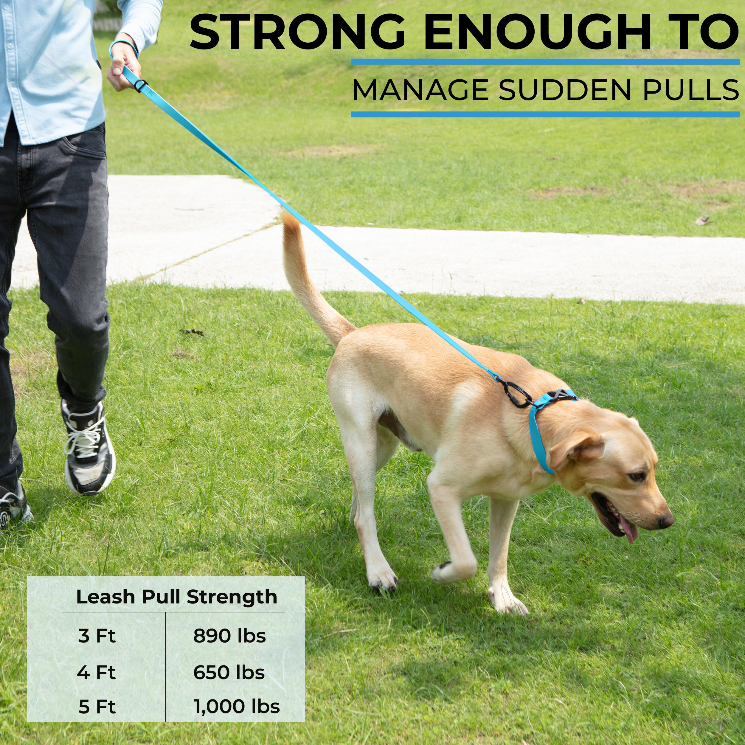 DogTraxs leash in use on a trail demonstrates secure control.