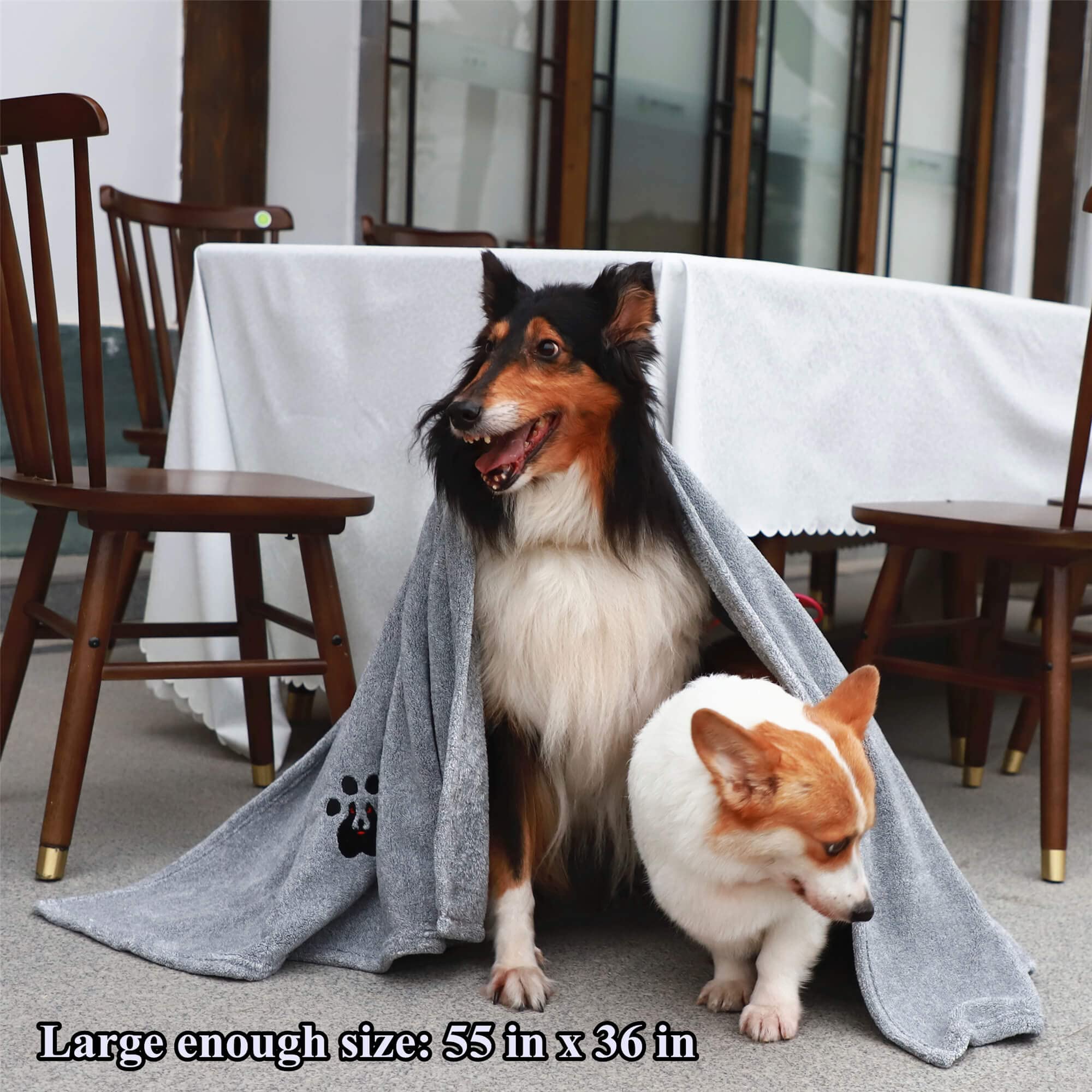 Dogvingpk drying a wet dog after swim demonstrates practical outdoor use