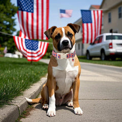 DOGWONG American Flag Collar with adjustable buckle for secure, adjustable sizing