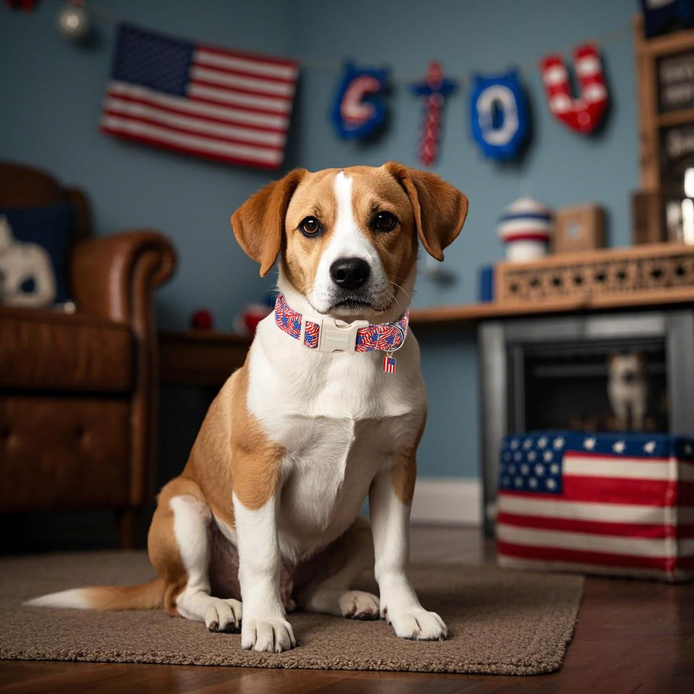 DOGWONG American Flag Collar D-ring for tags and leash attachment