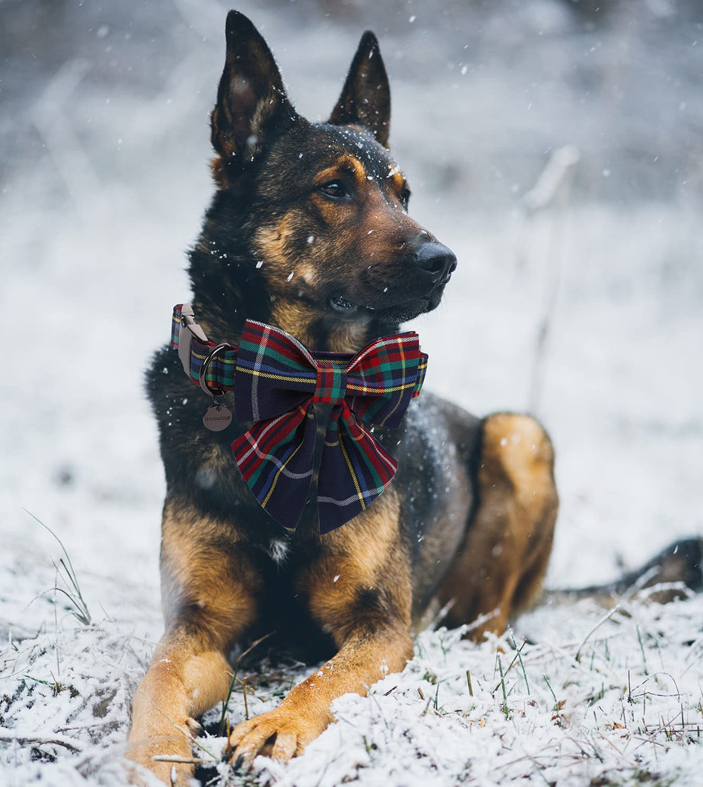 DOGWONG bow detail on collar adds adorable holiday look.
