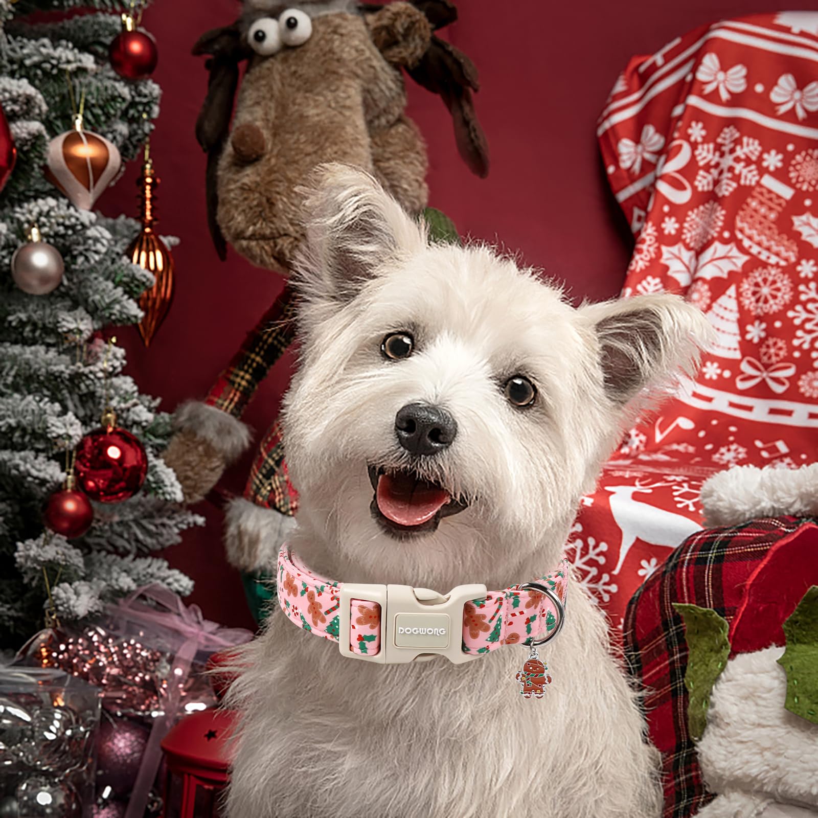 DOGWONG diseño gingerbread, collar navideño para invierno