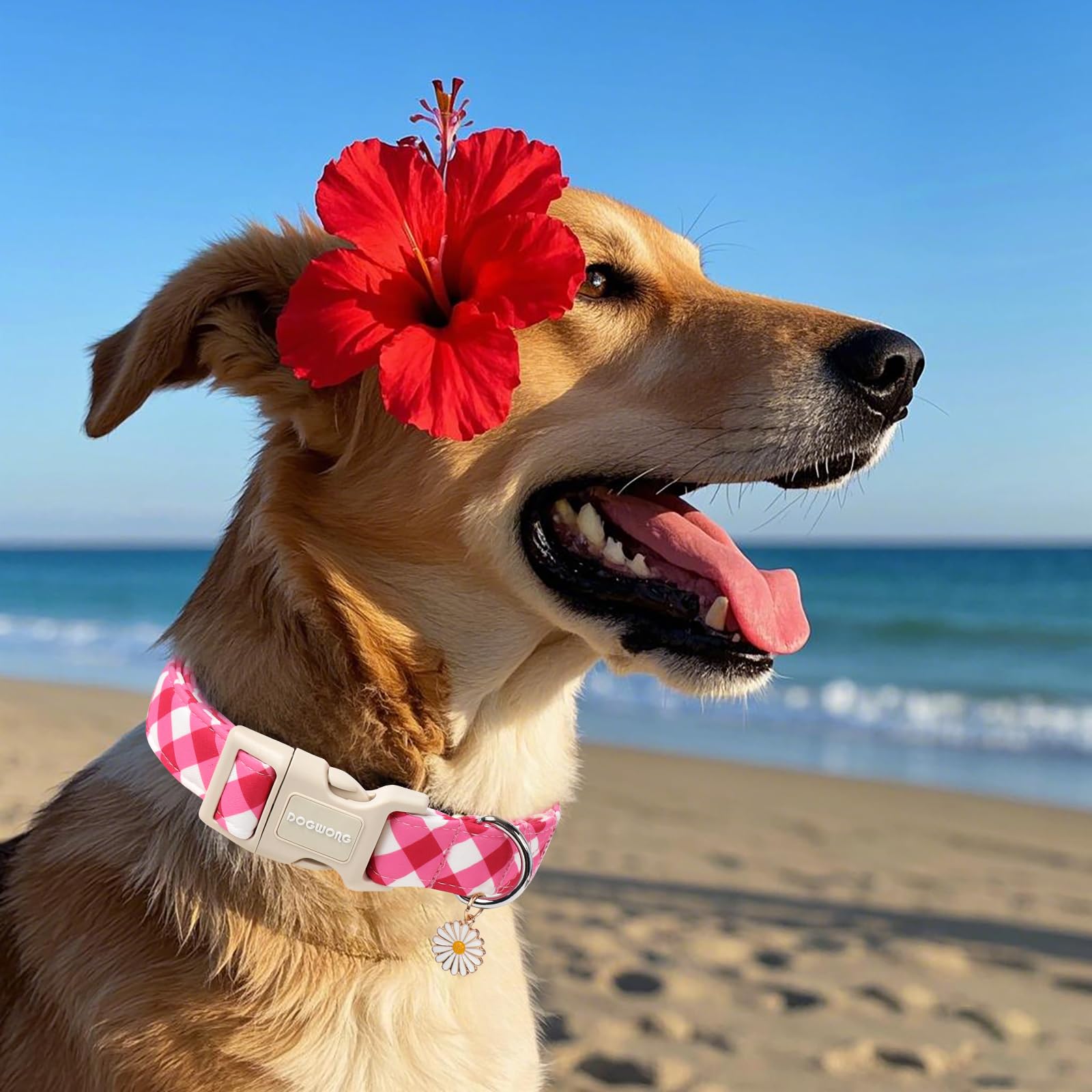 DogWong collar rosa a cuadros, fácil de limpiar con agua tibia