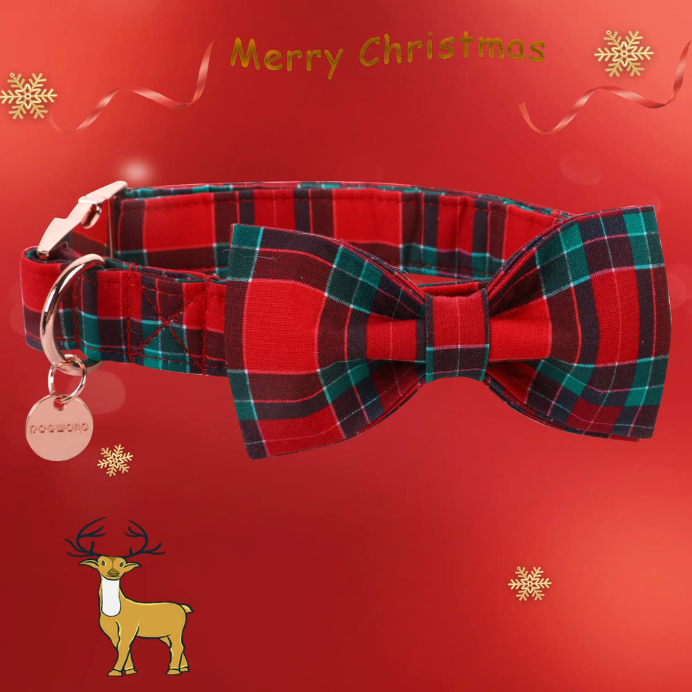 DOGWONG cotton dog collar closeup; showcasing durable hardware for everyday wear.