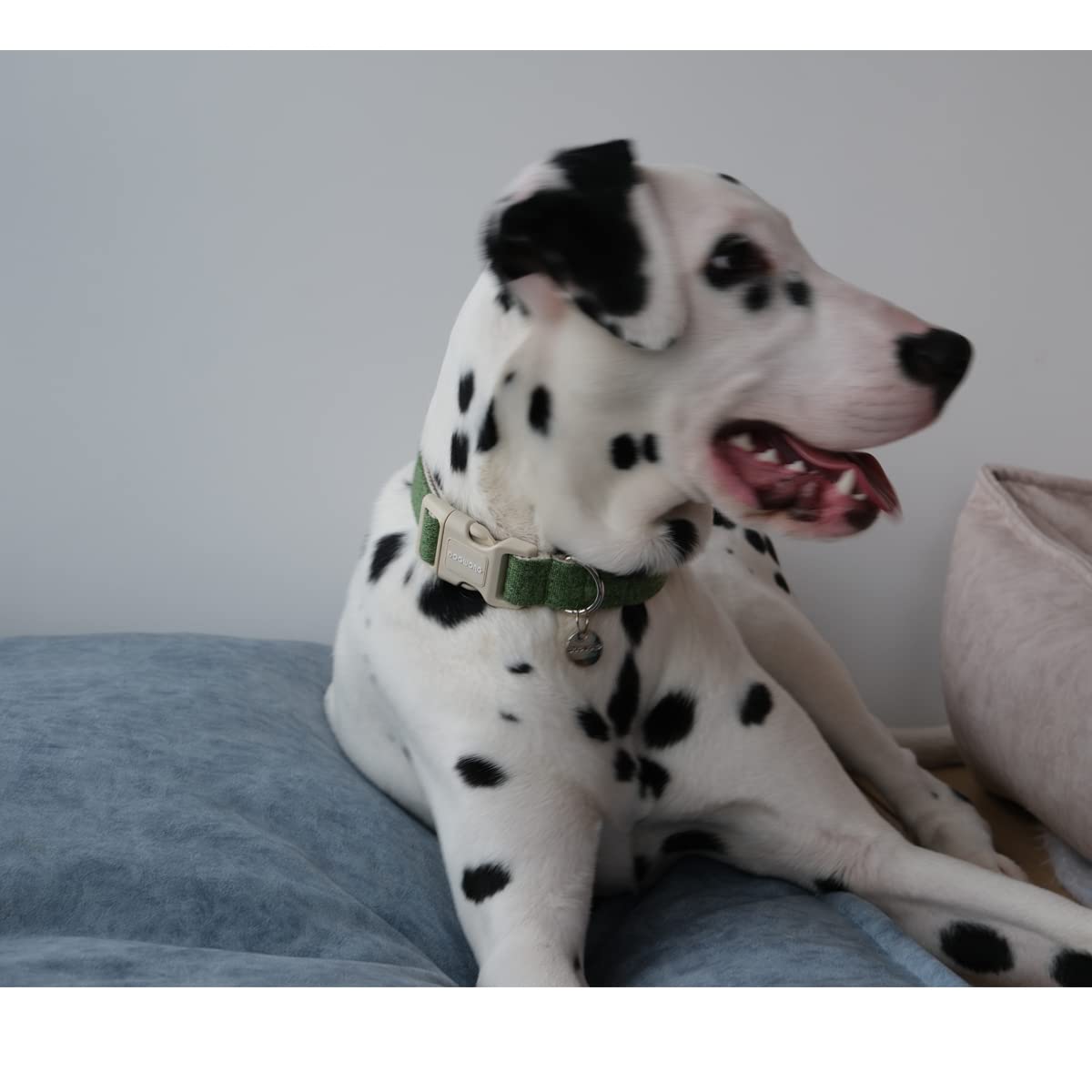 DOGWONG Cotton Hemp Collar on dog neck shows breathable natural material