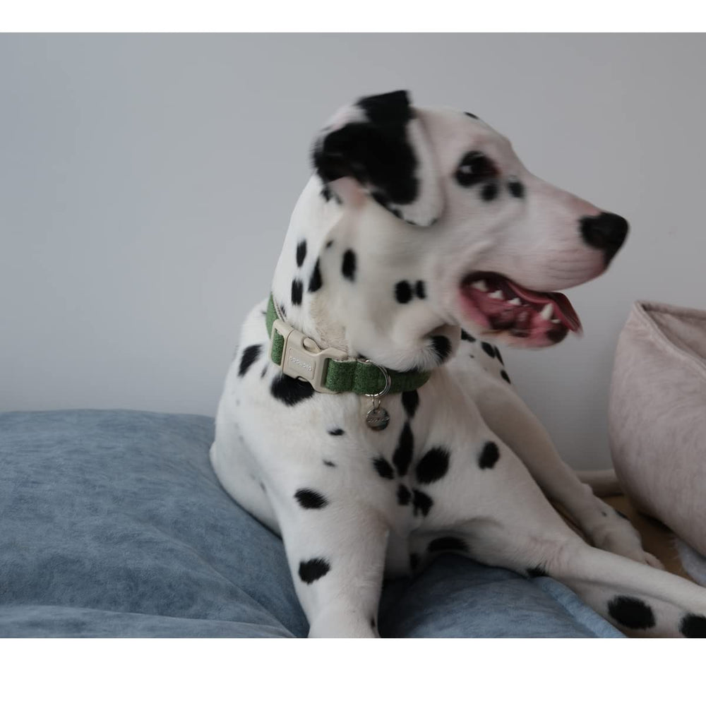 DOGWONG Cotton Hemp Collar on dog neck shows breathable natural material