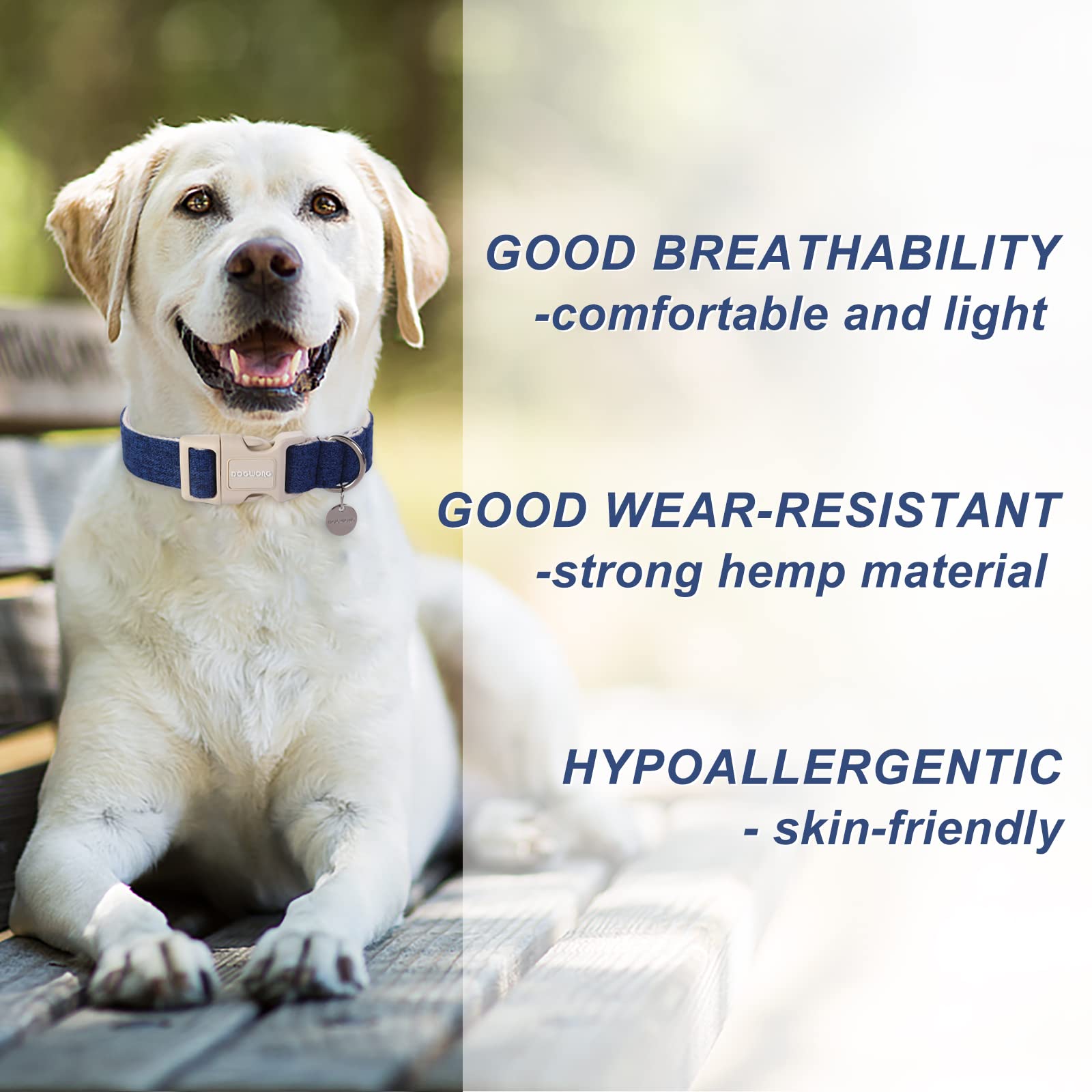 DOGWONG cotton hemp dog collar blue d-ring area enables easy leash connection