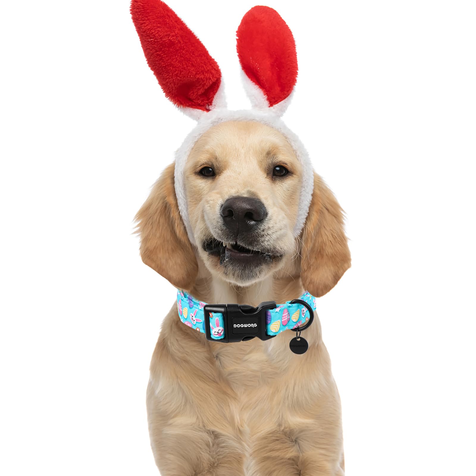 DOGWONG Easter Dog Collar D-ring tag area for easy ID and leash