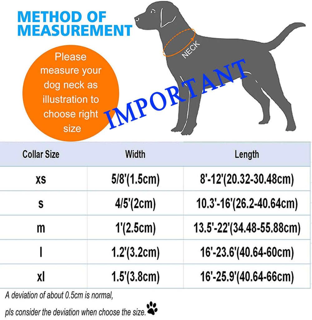 DOGWONG hand-wash cleaning collar for easy care after adventures.