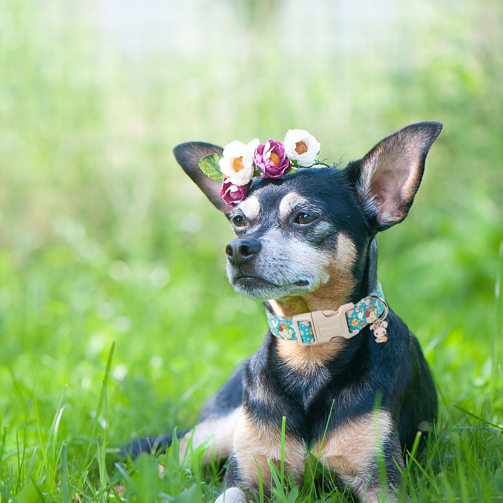 DOGWONG Pink Easter collar with flower design for cute photos.