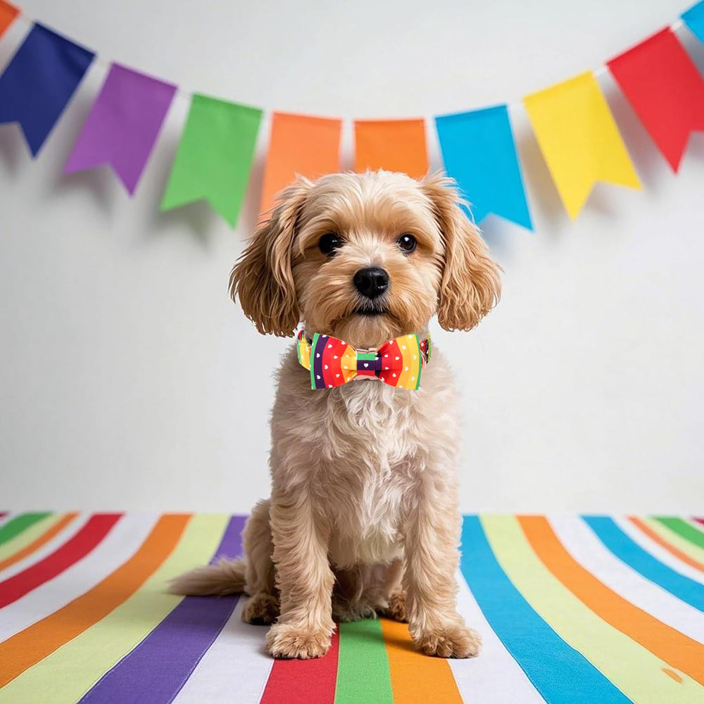 DOGWONG Rainbow Collar with Bow Tie close-up stitching emphasizes durability and long-lasting design.