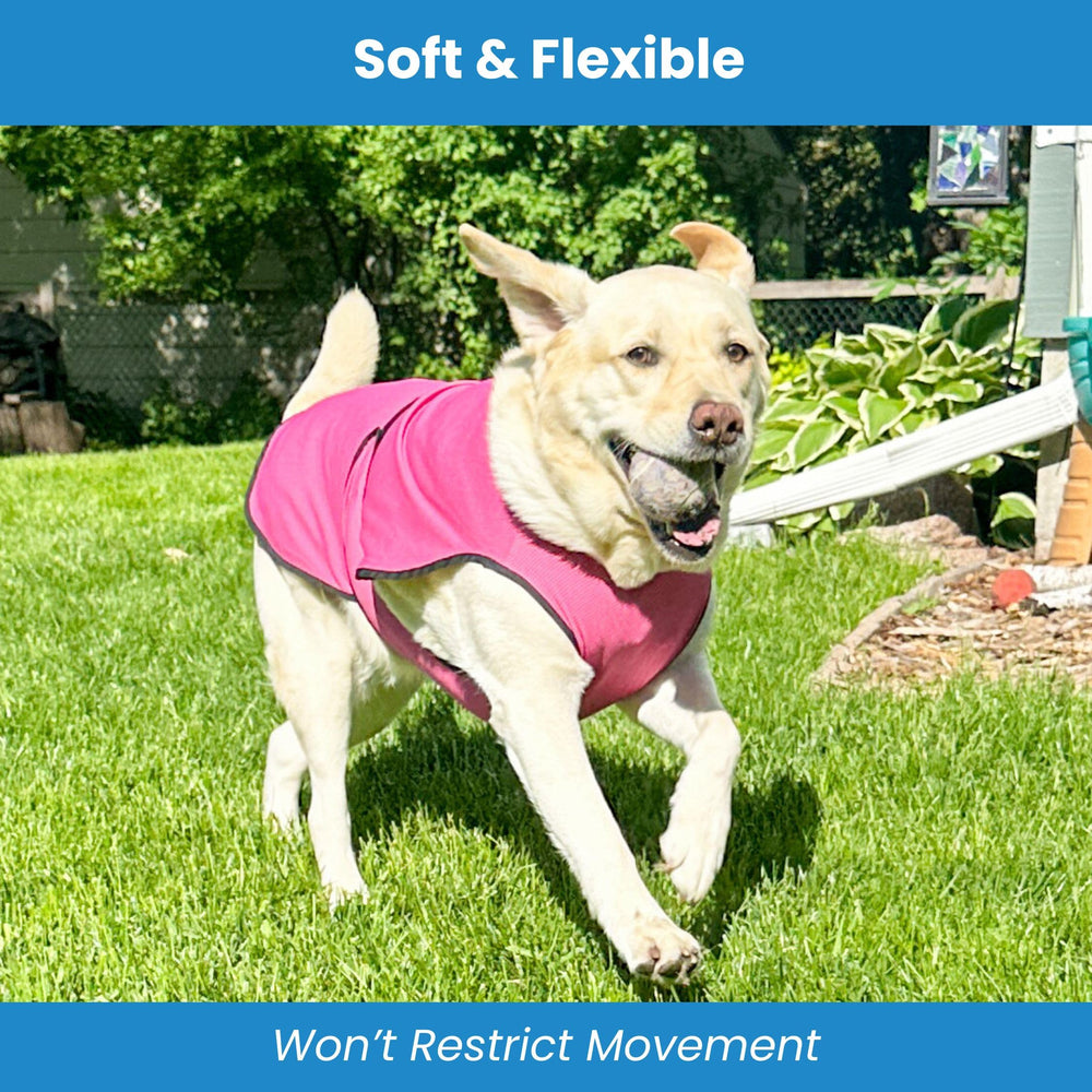 DOGZSTUFF cooling vest packaging and size range highlights small to large.