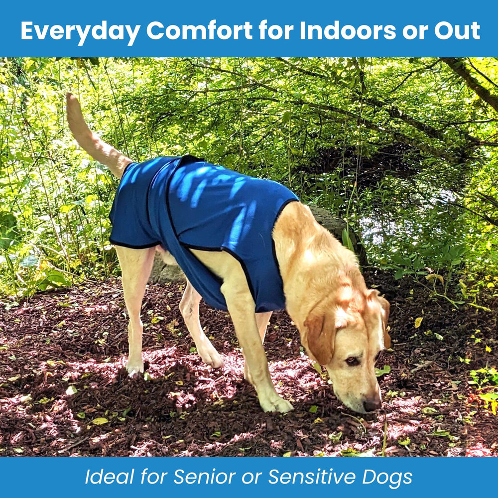 DOGZSTUFF cooling vest soak-and-go setup enables quick cooling on outdoor trips.