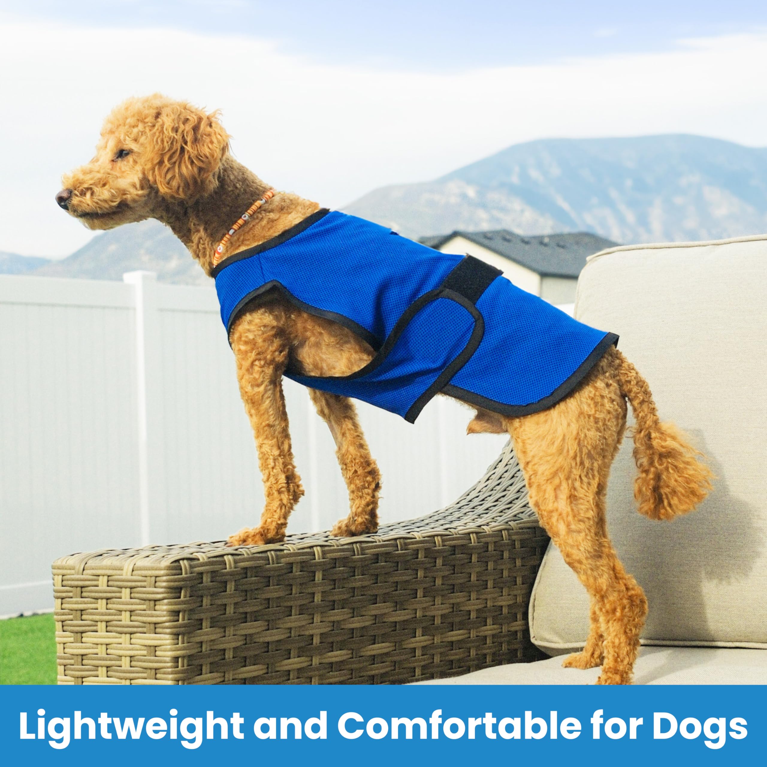 DOGZSTUFF cooling vest worn on dog demonstrates lightweight, easy wear for warm days.