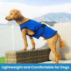 DOGZSTUFF cooling vest worn on dog demonstrates lightweight, easy wear for warm days.