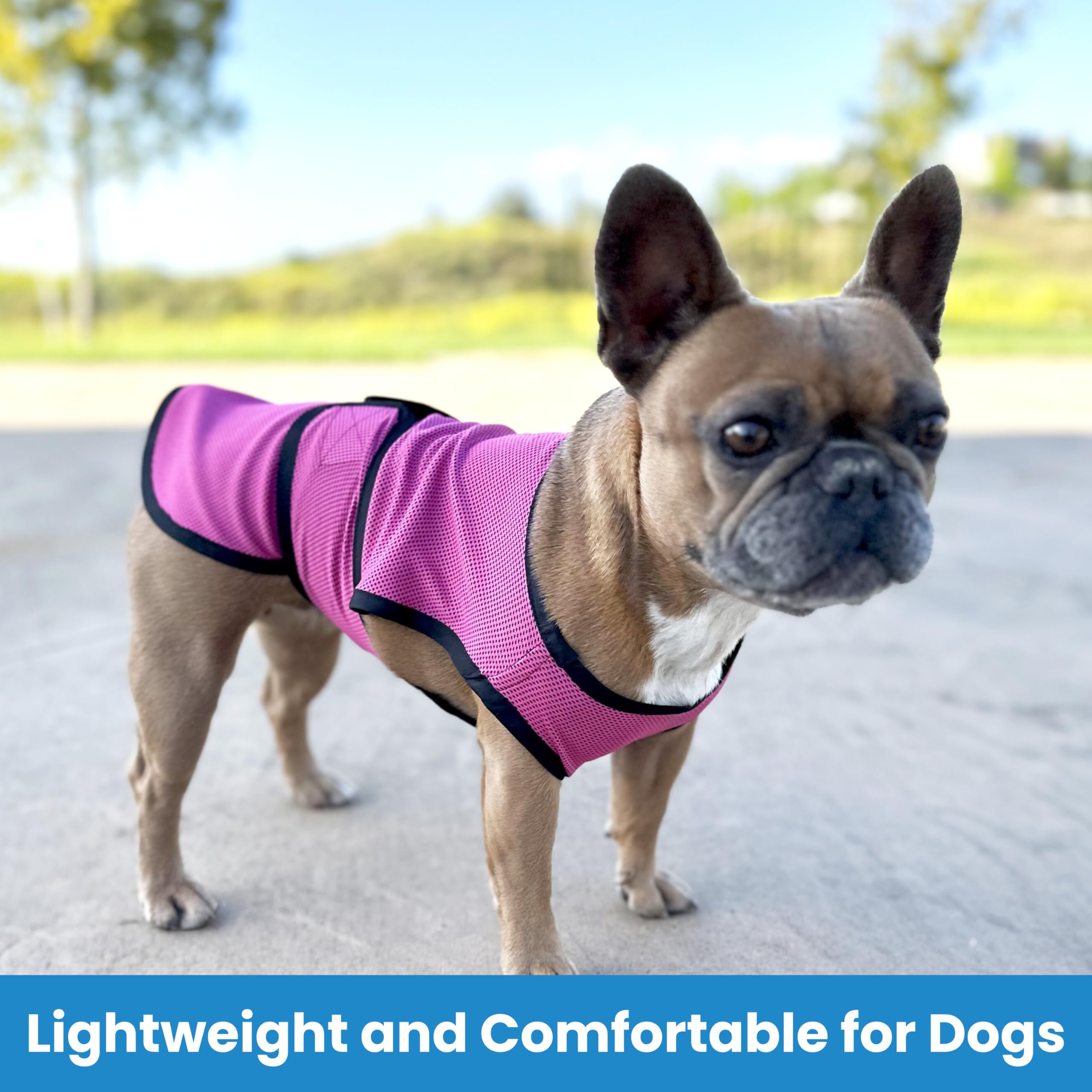DOGZSTUFF Dog Cooling Vest worn on a dog illustrates comfortable, flexible fit.