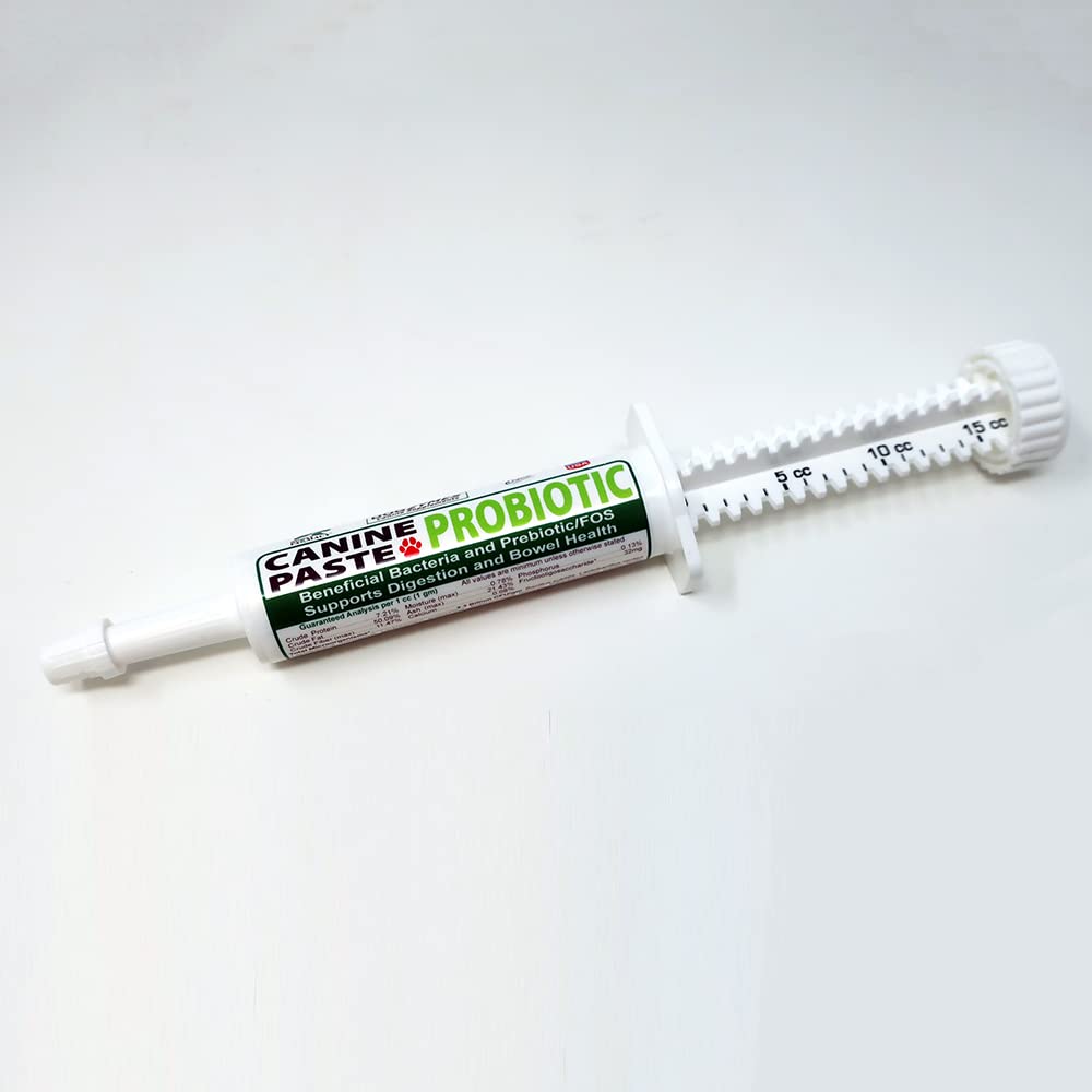 Dogzymes canine probiotic paste 15g tube for digestive support and easy administration