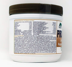 Dogzymes Probiotic Max teaspoon-scoop illustrating daily dosing for gut balance