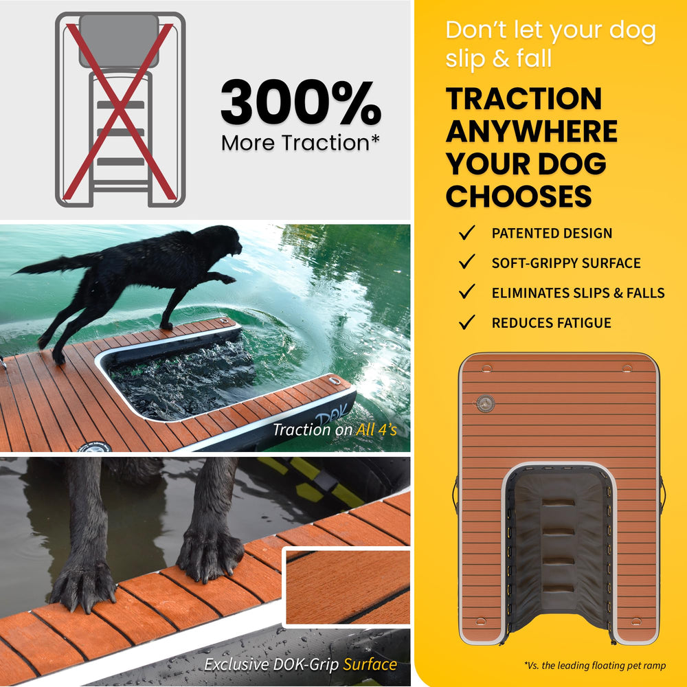 DOK Dog-DOK dog uses ramp to reach water for easy entry.