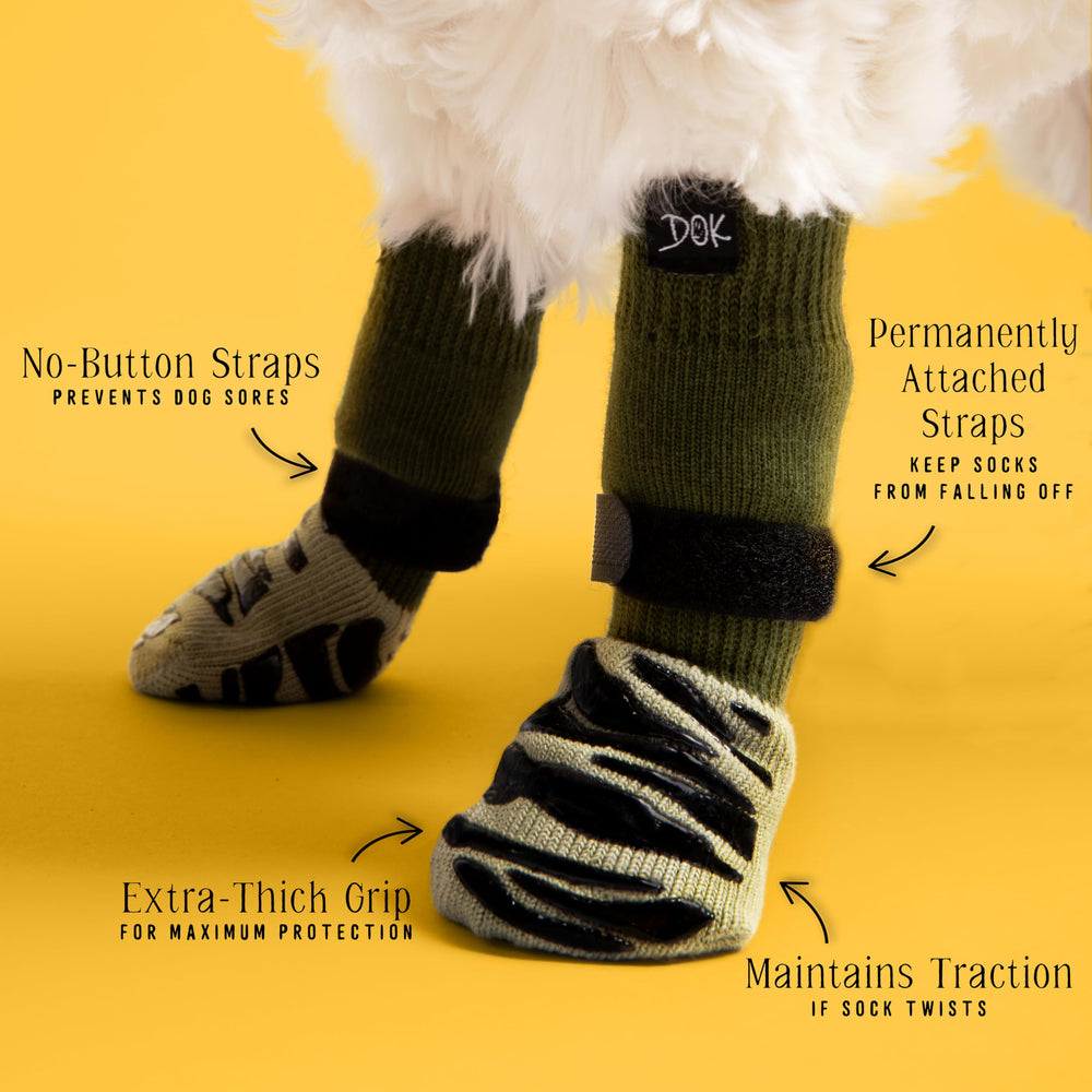 DOK TigerToes worn by a senior dog for better mobility on slick floors.