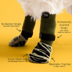 DOK TigerToes worn by a senior dog for better mobility on slick floors.