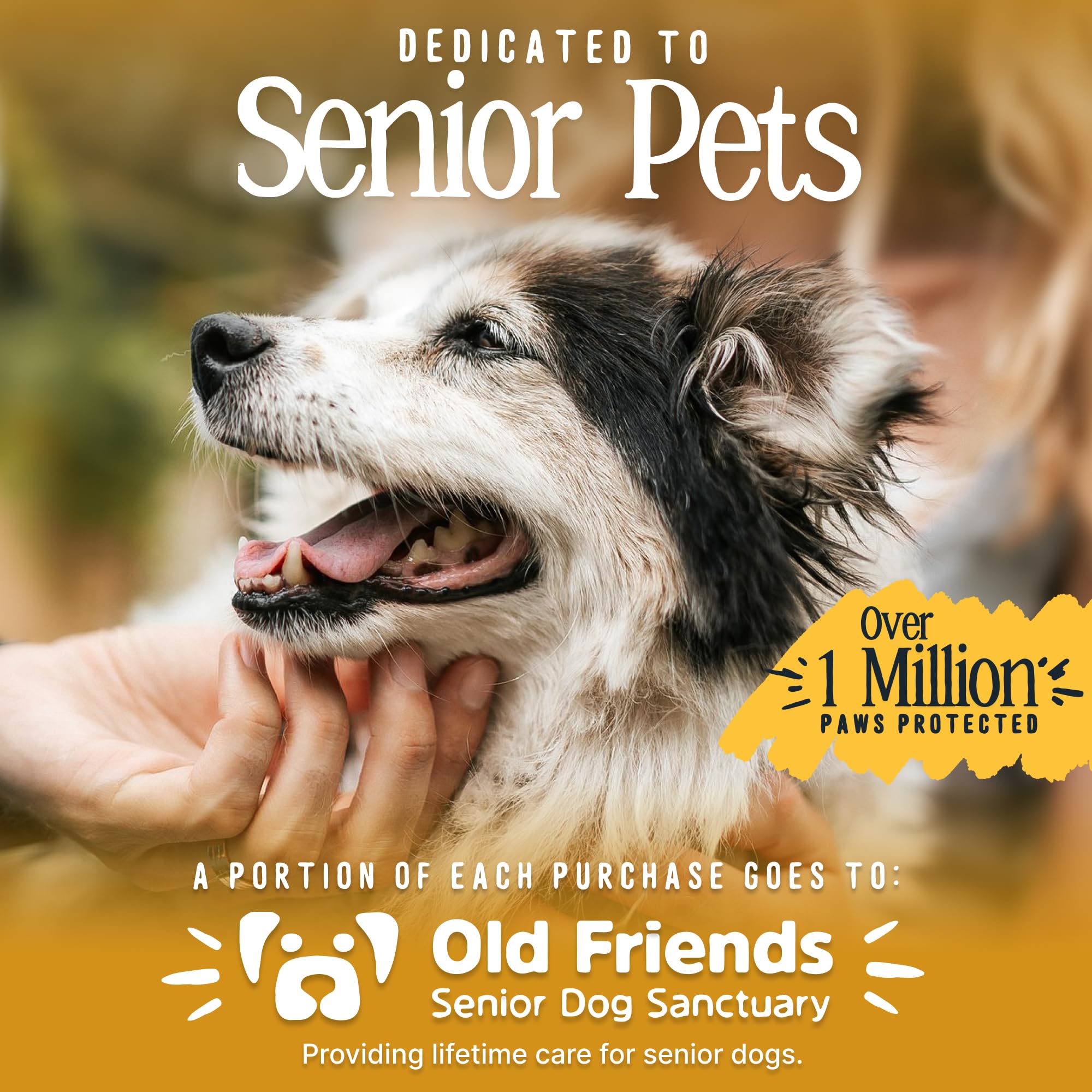DOK TigerToes XXL four-pack provides consistent traction for multiple dogs
