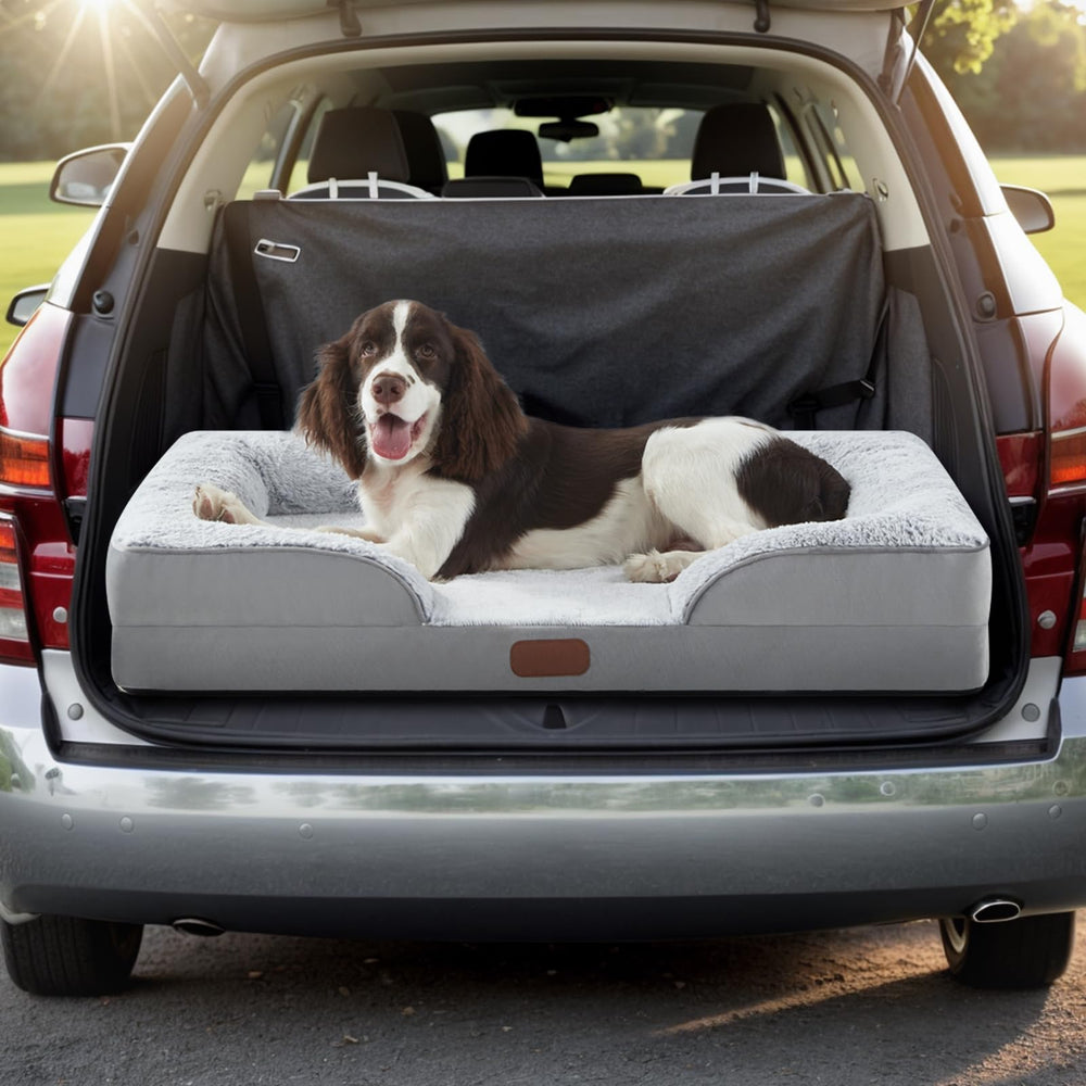 Dokdogs multi-size-availability image conveys options from small to extra-large