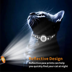 Dokitag breakaway clasp collar for safe outdoor wear.