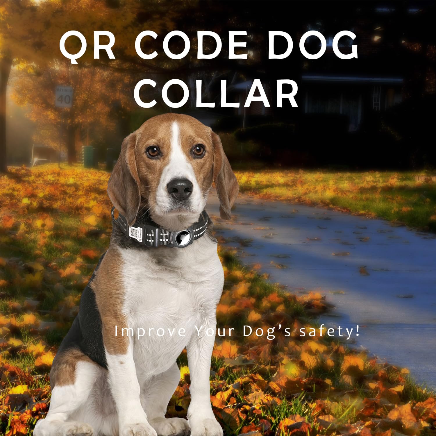 Dokitag QR code scan leads to pet profile for easy reunions.