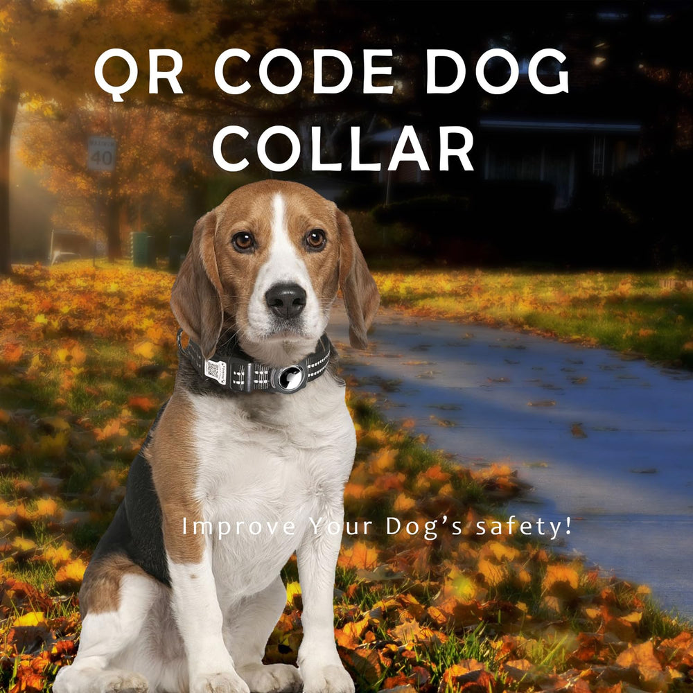 Dokitag QR code scan leads to pet profile for easy reunions.