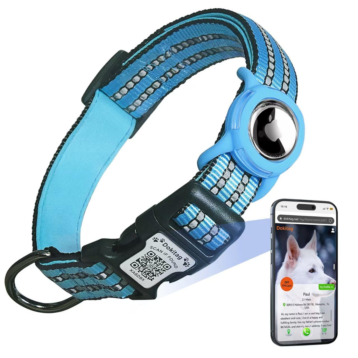 Dokitag reflective dog collar in blue for safer night walks.