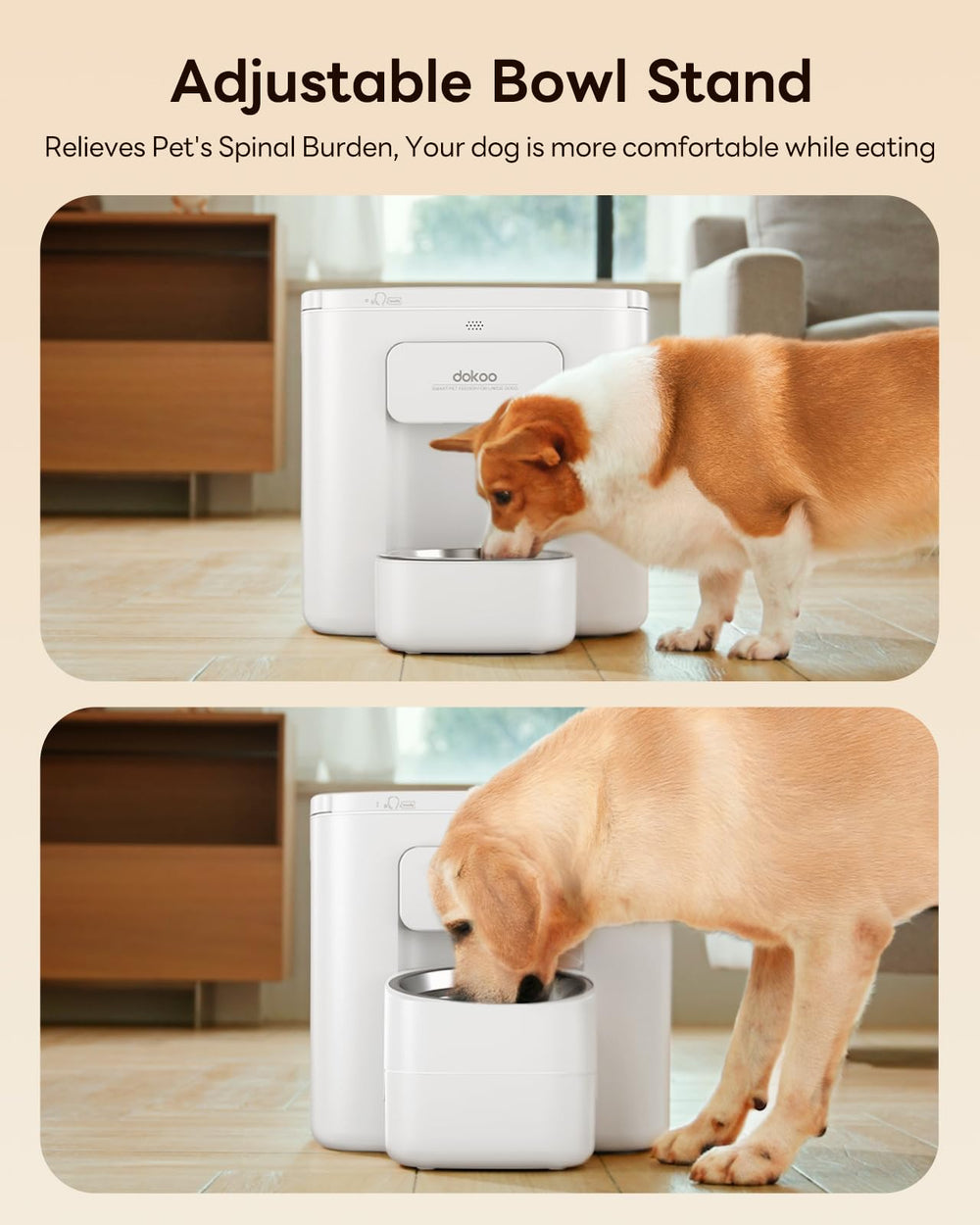 Dokoo 15L feeder 15-liter capacity enables longer intervals between meals