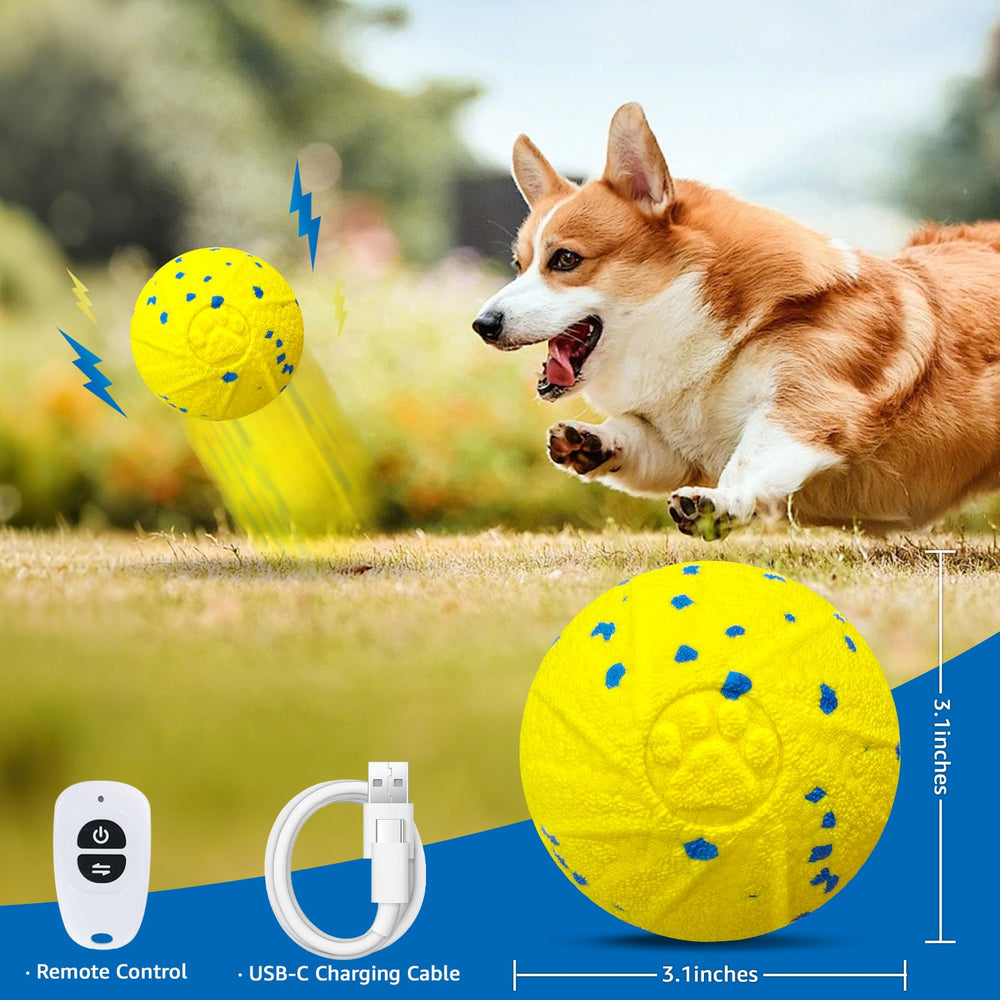 Dolita interactive dog ball demonstrates rolling and auto modes for solo play